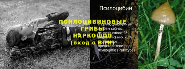 соль курить ск Арсеньев