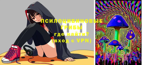эйфоретик Аркадак
