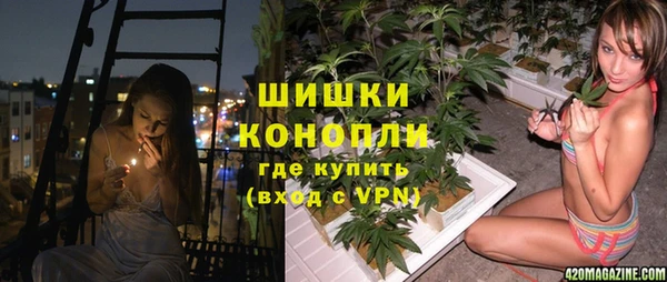 эйфоретик Аркадак